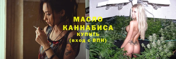 индика Бикин