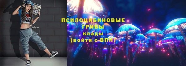 гашик Дмитриев