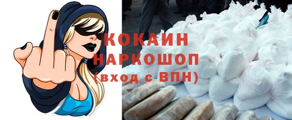 гашик Дмитриев
