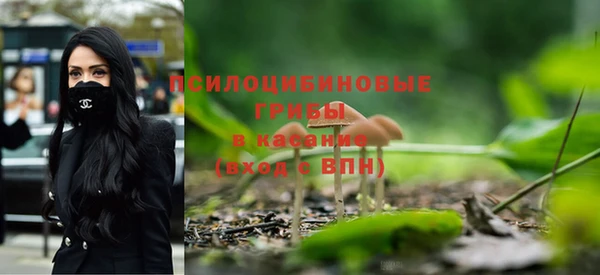 герыч Дмитров