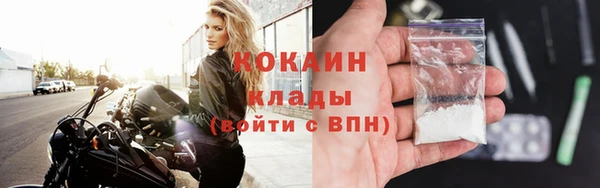 гашик Дмитриев