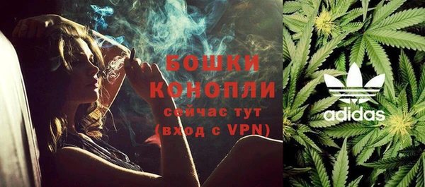 гашик Дмитриев