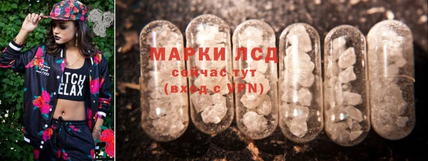 гашик Дмитриев