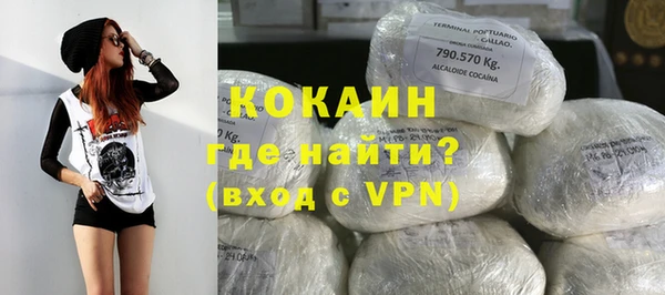 гашик Дмитриев