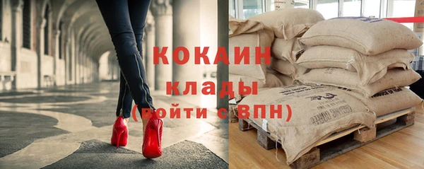 гашик Дмитриев