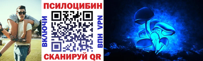 Купить Мценск Галлюциногенные грибы Psilocybine cubensis